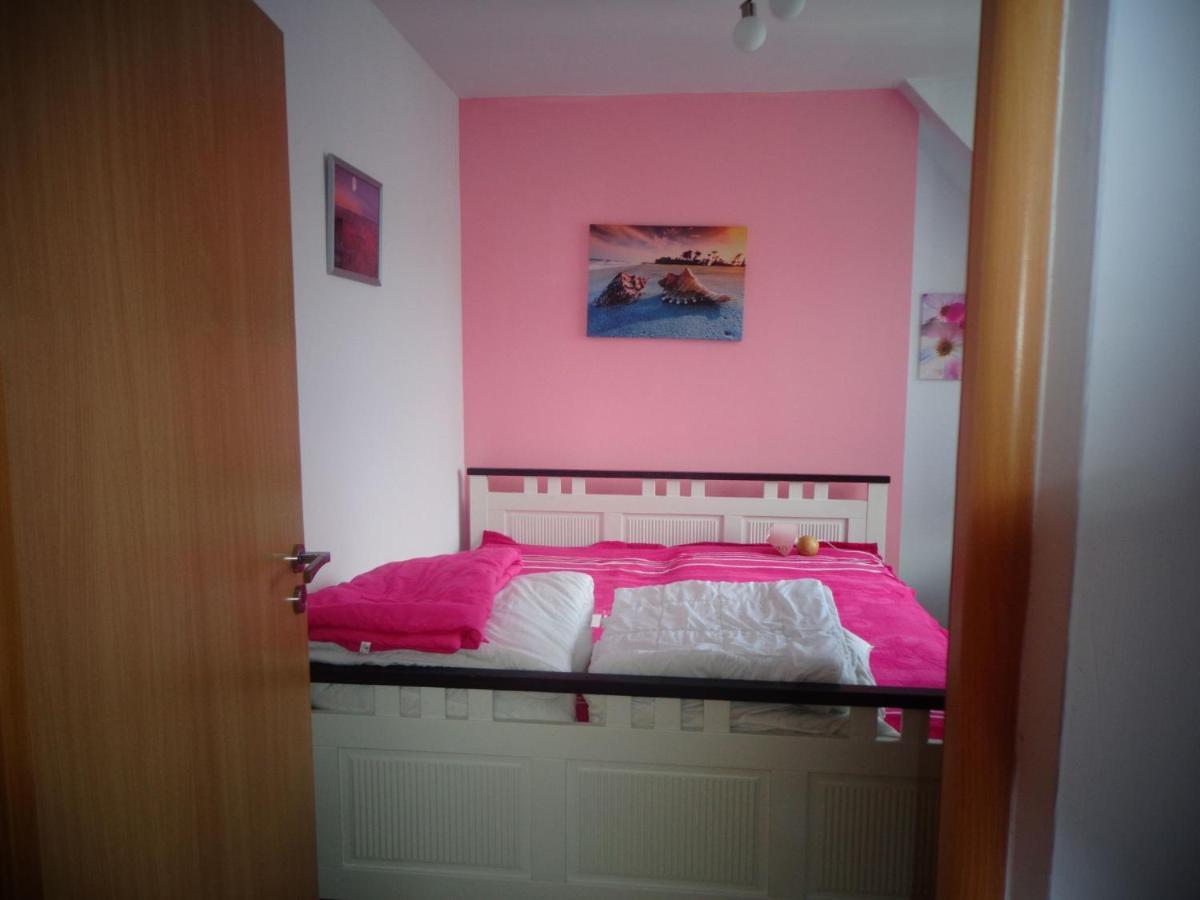 Dom Sandi Homestay *